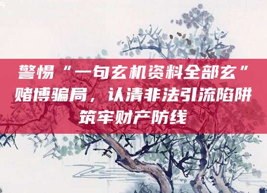 警惕“一句玄机资料全部玄”赌博骗局,认清非法引流陷阱筑牢财产防线